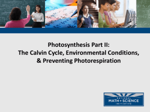 02 Photosynthesis Calvin Cycle Light