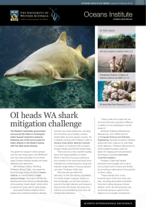 OI heads WA shark mitigation challenge