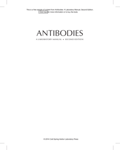 antibodies - Cold Spring Harbor Laboratory Press