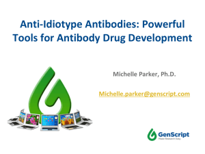 Anti-Idiotype Antibodies: Powerful Tools for Antibody