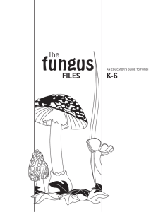 The Fungus Files.qxp