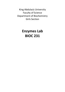 Enzymes Lab