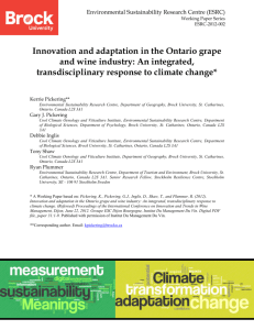 Innovation and adaptation in the Ontario grape