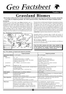Grassland Biomes
