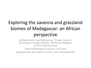 Exploring the savanna and grassland biomes of Madagascar: an