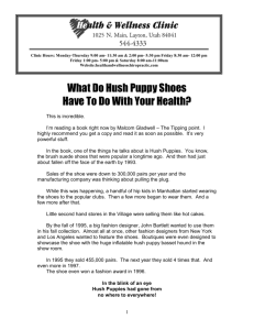 What Do Hush Puppy Shoes Have To Do With Your Health?