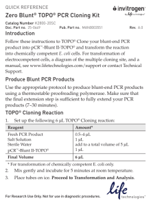 Zero Blunt® TOPO® PCR Cloning Kit
