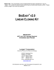 Hot link to Lucigen® Corporation, BigEasy V2.0 Linear cloning Kit…