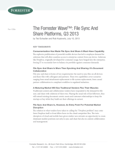 File Sync And Share Platforms, Q3 2013
