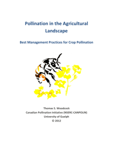 Pollination in the Agricultural Landscape