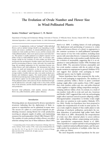 The Evolution of Ovule Number and Flower Size in Wind