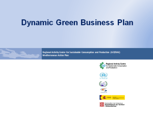 Dynamic Green Business Plan - Regional Activity Centre for Cleaner