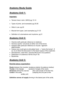 Anatomy Study Guide Anatomy Unit 1: Anatomy Unit 2