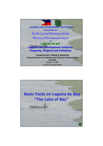 Laguna Lake Development and Management