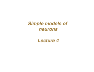 Simple models of neurons Lecture 4