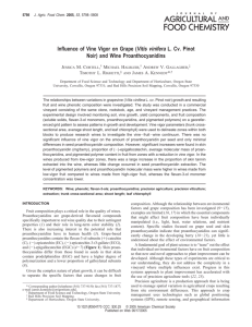 Influence of Vine Vigor on Grape (Vitis vinifera L. Cv. Pinot Noir) and