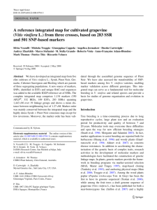 A reference integrated map for cultivated grapevine (Vitis vinifera L