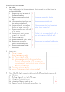 Revision Exercise 4