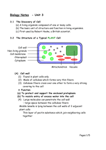 Biology Notes - Unit 3