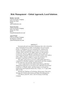 Risk Management – Global Approach, Local Solutions