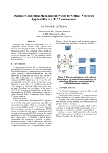 Dynamic Connection Management System for Optical Networks