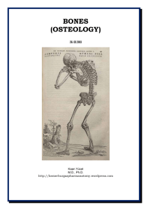 Bones (Osteology)