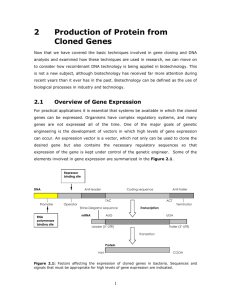 Expression of Cloned Gene - Molecular Biology 2