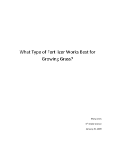 What Type of Fertilizer Works Best for Growing Grass
