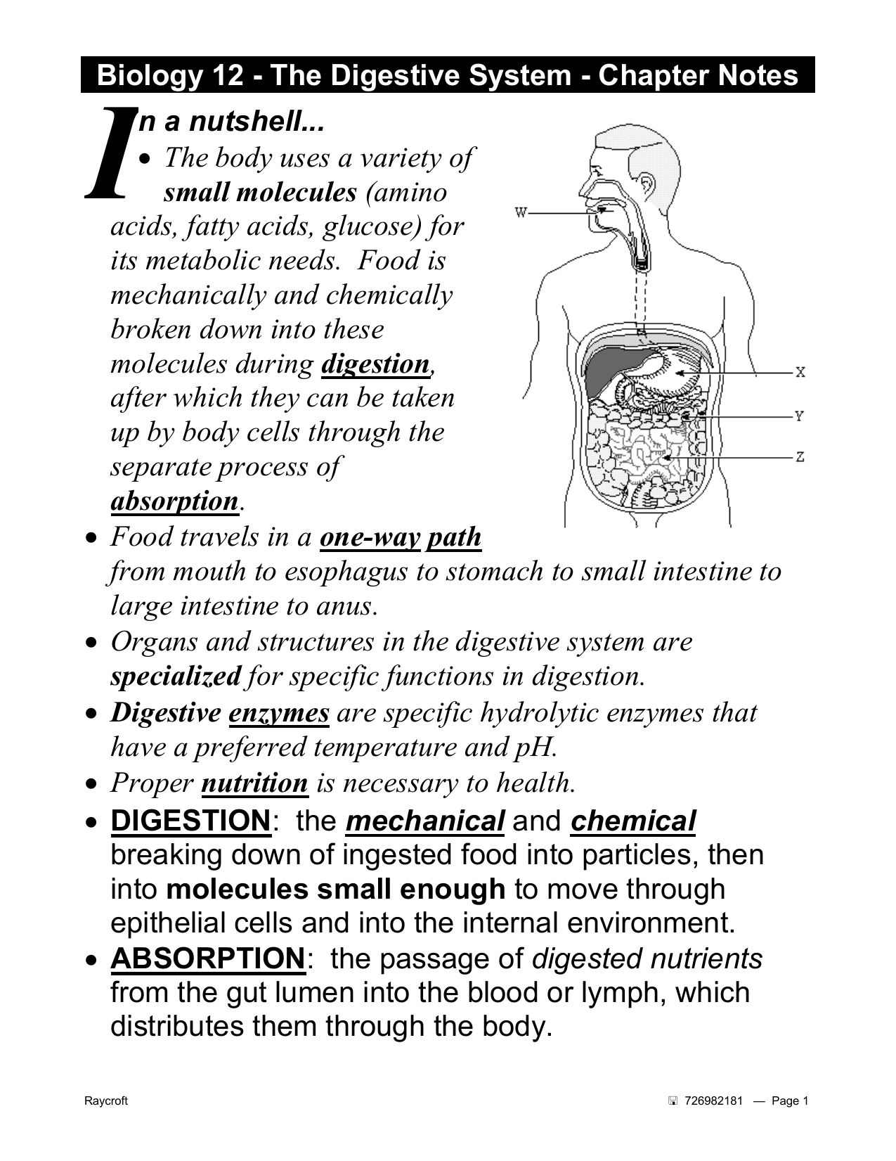 Notes Digestion Teacher