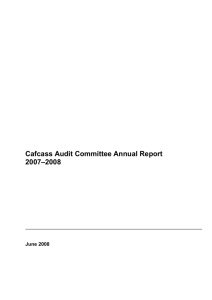 CAFCASS Audit Committee Annual Report 2007–2008