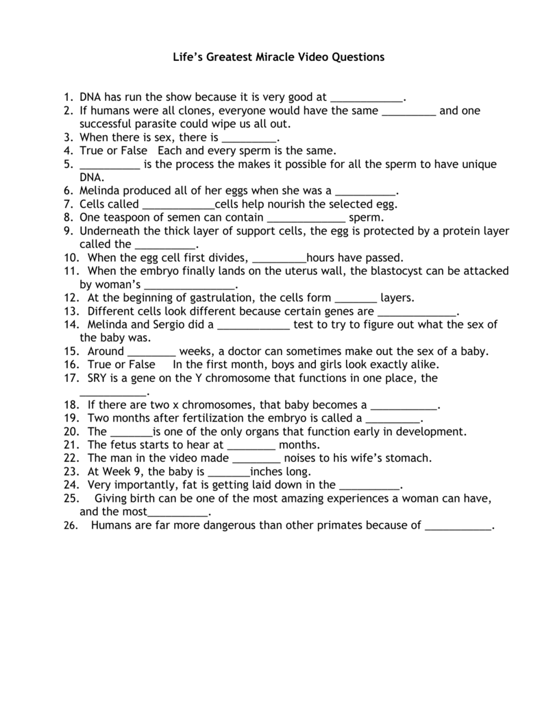 Life S Greatest Miracle Worksheet Worksheet