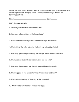 Name: ____________Answer Key____________________