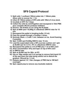 SF9 Capsid Protocol