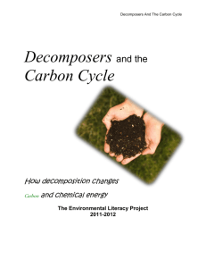 Specifications for Decomposers and the Carbon Cycle Unit