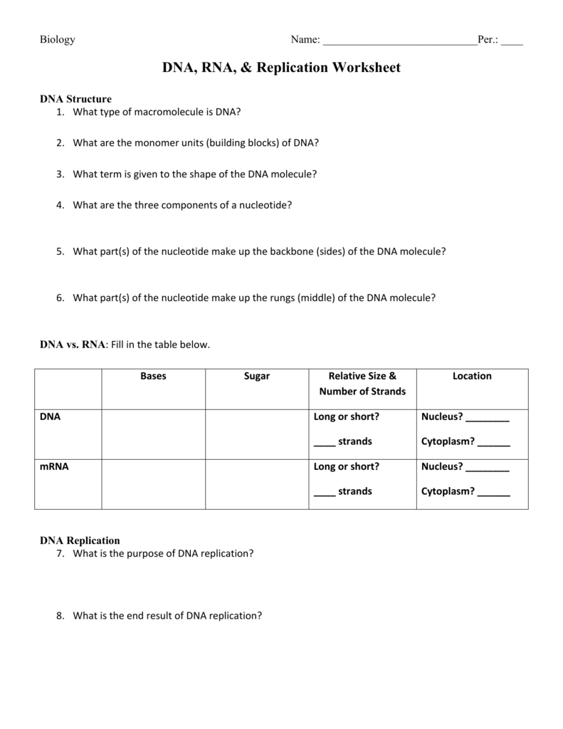 Dna To Protein Worksheet