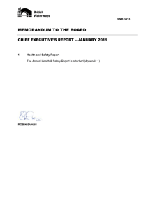 CEO-Report-27-1-11-for-publication