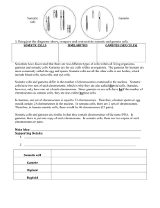 H_O_ 7_Gametes and Somatic Cells