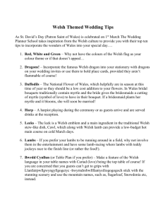 Welsh Theme Wedding Tips - The Wedding Planner School