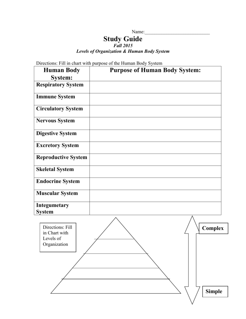 Study Guide- Levels of Organization and Human Body Systems For Levels Of Biological Organization Worksheet