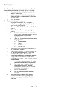 II. Most macromolecules are polymers