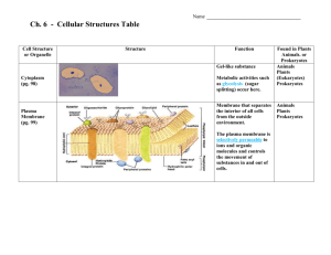 Cellular Structures Table (Ansewer Key)