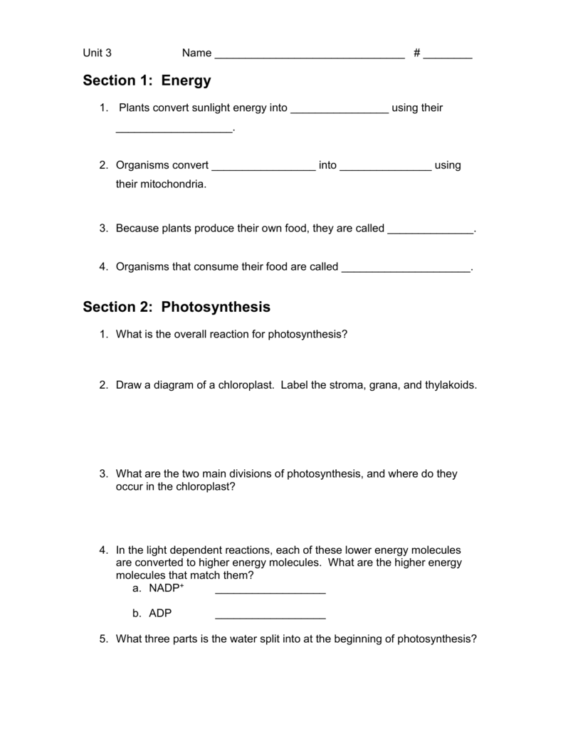 Section 22: Photosynthesis Inside Photosynthesis Worksheet High School