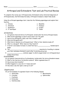 Arthropod and Echinoderm Test and Lab Practical Review