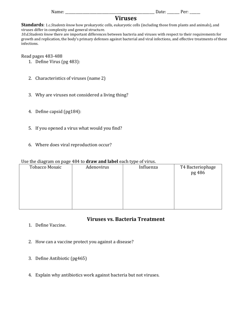 31 Virus And Bacteria Worksheet - Worksheet Information