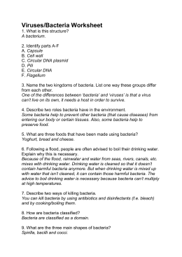 BACTERIA AND VIRUS WORKSHEET 1. Give at least 3 examples