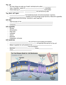 The cell