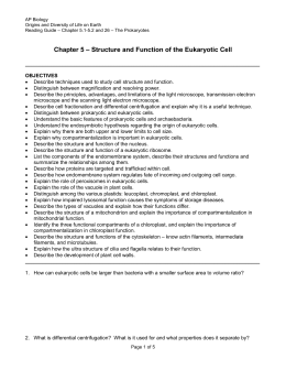 Secondary endosymbiosis image