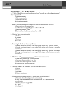Prokaryotes Questions[Emily Project]. - kyoussef-mci