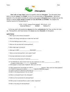 Chloroplasts Worksheet