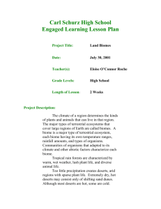 Engaged Learning Lesson Plan